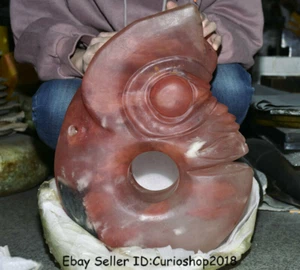 18.8" Huge Old Chinese Hongshan Culture Red Crystal Carved Pig Dragon Statue - Picture 1 of 12