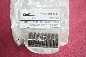 Westerbeke 045182 Valve Spring (Pack of 2) - Bild 1 von 2