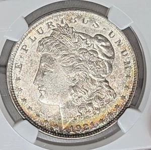 1921 P NGC MS64 Rainbow Toned Wedge Mint Lustrous Morgan Silver Dollar PQ BU - Bild 1 von 8