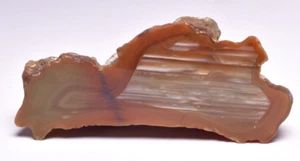 AGATE CREEK, AGATE HALF, POLISHED, AUSTRALIA P1101 - Picture 1 of 5