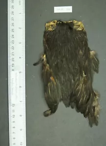 Importiertes natürliches schwarzes Cape/Hals Fliegenbinden/Basteln Posten-SF 193 - Bild 1 von 7