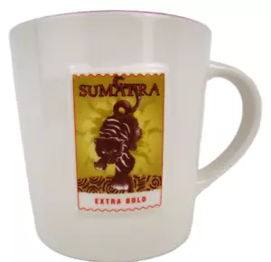 Starbucks Coffee Mug Sumatra Extra Bold Map 16 Oz Cup Asia Pacific 2006 - Picture 1 of 10