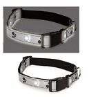 Grey  Black Reflective Pawprint Dog Collars - Great for Nighttime Safe Walks 