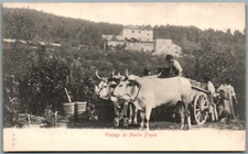 CARTOLINA FIESOLE FIRENZE MONTE FIANO V15