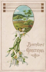 Vintage Embossed White Blooming Flowers Birthday Greetings Postcard Art Deco - Picture 1 of 2