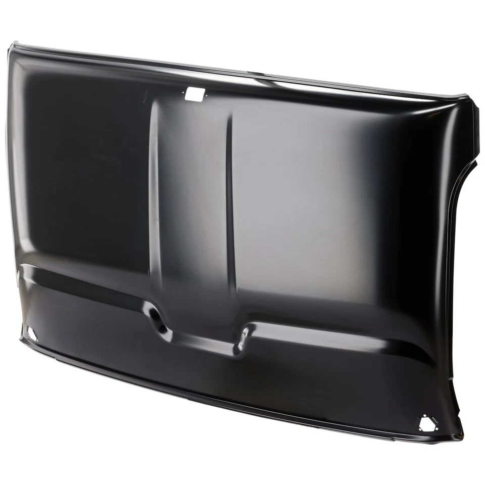Roof Panel Inside for Chevy S10 Pickup S15  3999884 Chevrolet S-10 GMC C10 Truck Foto 1 de 1
