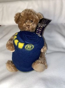 2000 Michigan Stuffed Bear MASCOT THROW 40”x 50” - Picture 1 of 3