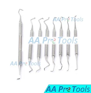 8 GOLDMAN-FOX Küretten & Scaler Set Dental Instrumente - Bild 1 von 3