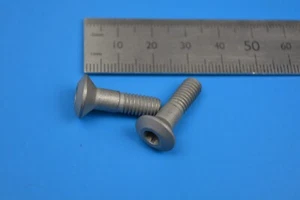 SECO WS2325 T25P Einsatzschrauben x 2. M6. Ersatz / Ersatzteile. 02483615 - Bild 1 von 2