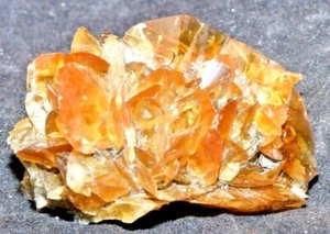FLUO GOLDEN SELENITE GYPSUM 5 X 3 X 4 CM RED RIVER, MANITOBA CANADA #12 - Picture 1 of 3