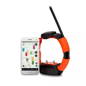 Collare aggiuntivo (trasmittente) per Dogtrace X30T - Imagen 1 de 1