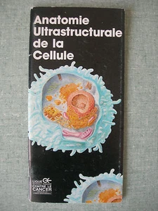 BROCHURE 1987 - LIGUE CONTRE LE CANCER : ANATOMIE ULTRASTRUCTURALE DE LA CELLULE - Imagen 1 de 4