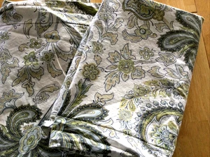 2 Pottery Barn Charlie Paisley Floral Cotton Blue Green Pillow Shams Standard - Picture 1 of 6