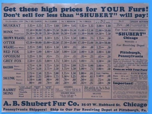 Lista de precios de piel cruda original vintage 1946 Shubert Trappers Pittsburg Chicago IL - Imagen 1 de 2