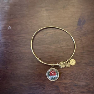 Pulsera Alex And Ani Oro Rafaeliano “Madre” - Imagen 1 de 1