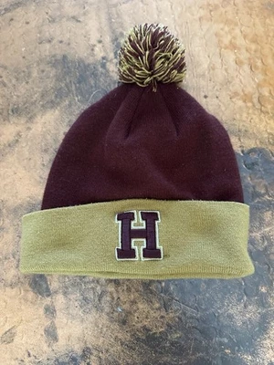 Sombrero de invierno Harvard emblema granate y dorado Foto 1 de 2