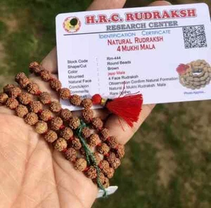 CERTIFICADO LABORATORIO Raro 4 Cuentas de Oración Mukhi RUDRAKSHA Rudraksh Mala 108+1 - Imagen 1 de 7