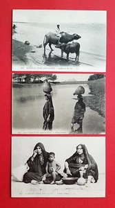 3 x AK ÄGYPTEN um 1910 Typen Büffel am Nil, Frauen mit Wasserkrug ( 36555 - Bild 1 von 2
