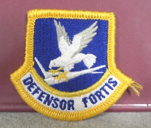 US Air Force Inspection Ready Defensor Fortis Security Forces Barett Flash Patch - Bild 1 von 3