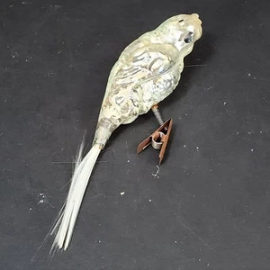 Clip de vidrio de mercurio temprano en vidrio soplado loro pájaro adorno de Navidad Alemania - Imagen 1 de 7