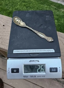 Alvin Antique 1905 Orange Blossom 6" Sterling Floral Flowers Olive Spoon - Picture 1 of 12