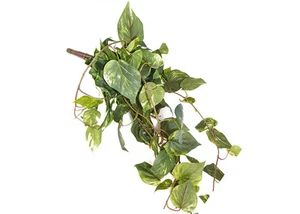 Cadente Pothos X15 Ramas CM 94 Flores Artificiales Para Adornos Y Compositores - Imagen 1 de 1