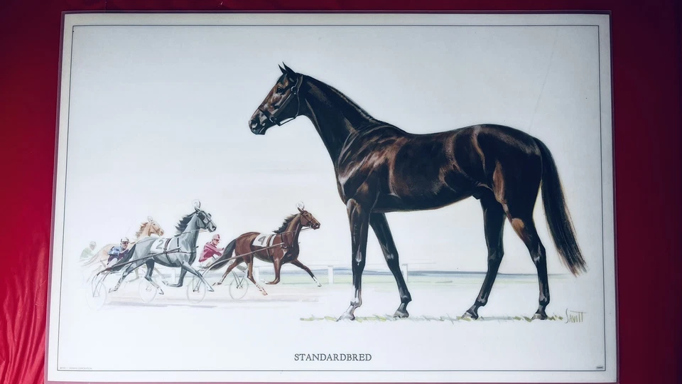 复古 Hedwin 马座垫 (5 混合) Savitt 厨房 — 第 1/4 张图片