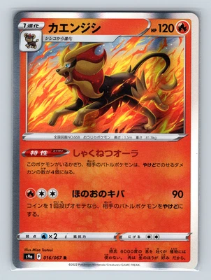 Pyroar 016/067 s9a Battle Region Rare Holofoil Pokémon Japanese TCG NM - Image 1 of 3