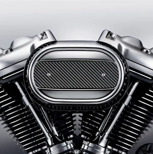 Inserto limpiador de aire de aspecto de fibra de carbono. Repuestos de stock para Harley Davidson inserto M8 - Imagen 1 de 5