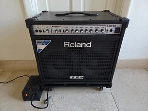 Roland D-BASS 210 Bass Amplifier + US Voltage Step-down Transformer - Picture 1 of 17