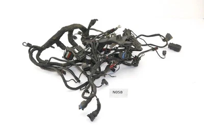 BMW R 1200 GS R12 2004 - Arnés de cableado N05B Foto 1 de 2