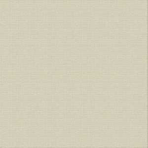 Couture Creations Cardstock - Delicate Medlar 12x12" 10pk 216gsm - Picture 1 of 1