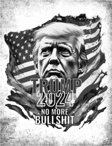 Trump Poster No More Bullshit Election 2024 Political Swag, 16x20" Premium Photo - Picture 1 of 1