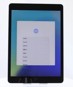 Apple iPad 9 256GB A2603 WiFi solo grigio siderale buone condizioni - Foto 1 di 12