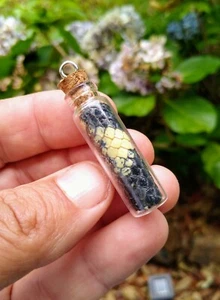 Emerald Green Boa Skin / Taxidermy Snake Skin (REAL) Reptile Pendant Z188 - Picture 1 of 1