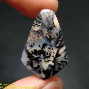18ct Mesmerising Brown Black DENDRITIC FERN Forest PICTURE AGATE ~Stunning~