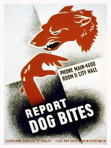 9877.Decor Poster.Room home wall design.Report Dog bites.Cleveland Health dept. - Picture 1 of 1