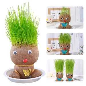 Growing Grass Head Doll Plant Children Gift Indoor Balcony Baby Pot Planters - Foto 1 di 16
