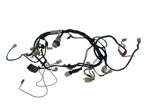 BETA Classic 01 05 - Picture 1 of 15