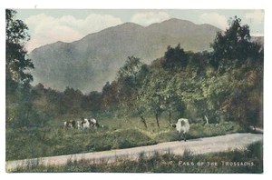 Pase de vagabundeo de los Trossachs Parque Nacional Stirling Escocia Millar & Lang - Imagen 1 de 2