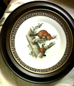 GERAHMTER BÖHM, LENOX, WALD UND WILDTIER TELLER - MARDER - Bild 1 von 4