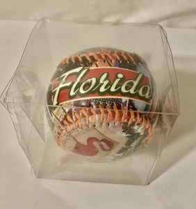 Decorazione palla esposizione negozio regalo Souvenir Florida Baseball State - nuova sigillata - Foto 1 di 4