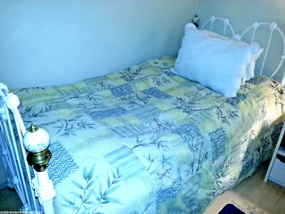 JC PENNEY Bamboo COMFORTER Sheet TWIN BED SET Safari CREAM & GREEN Reversible - Image 1 of 4