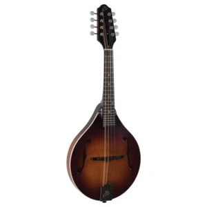 Mandolina estilo A The Loar LM-110 Honey Creek satinada Brownburst - Imagen 1 de 4