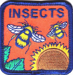 INSECTS Iron On Patch Bees Bumblebee Mosquito - Picture 1 of 2
