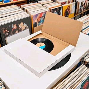 25 Album Paper 12.5 " x 12.5" x 1/2 "& 1" Vinyl Record LP Shipping Mailer Boxes - Picture 1 of 18