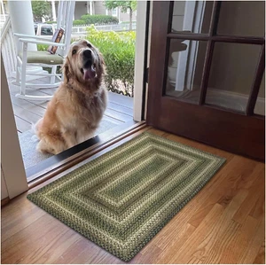 Pinecone Rustic Braided Rugs 20X30 Green Rug for Indoor Entryway - Picture 1 of 10