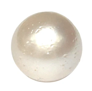 Giant Round 15.2mm Natural Silver White Indonesian South Sea Pearl Loose - Picture 1 of 8