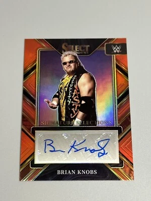 Brian Knobs 2023 Panini Select WWE /49 Red Signature Selections Auto Nasty Boys - Image 1 of 2