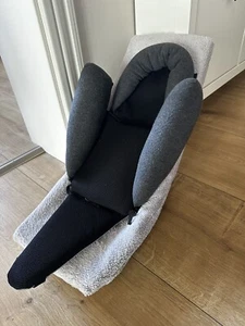 Weber Babyschale für Fahrradanhänger Thule Qeridoo etc - Bild 1 von 8